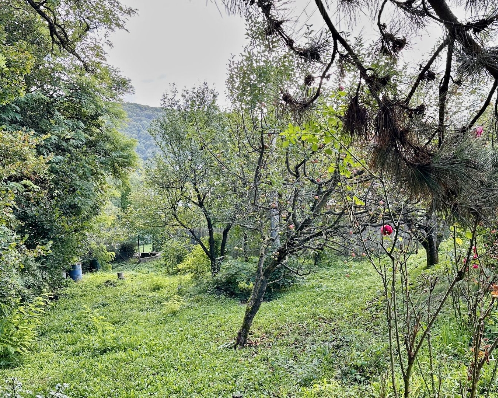 Záhrada v Radvani na predaj, 346 m2